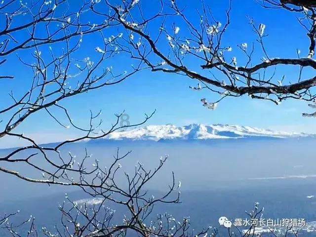 完胜卡戴珊!因身材火辣爆红,曾示爱C罗被拒,无视霍华德追求